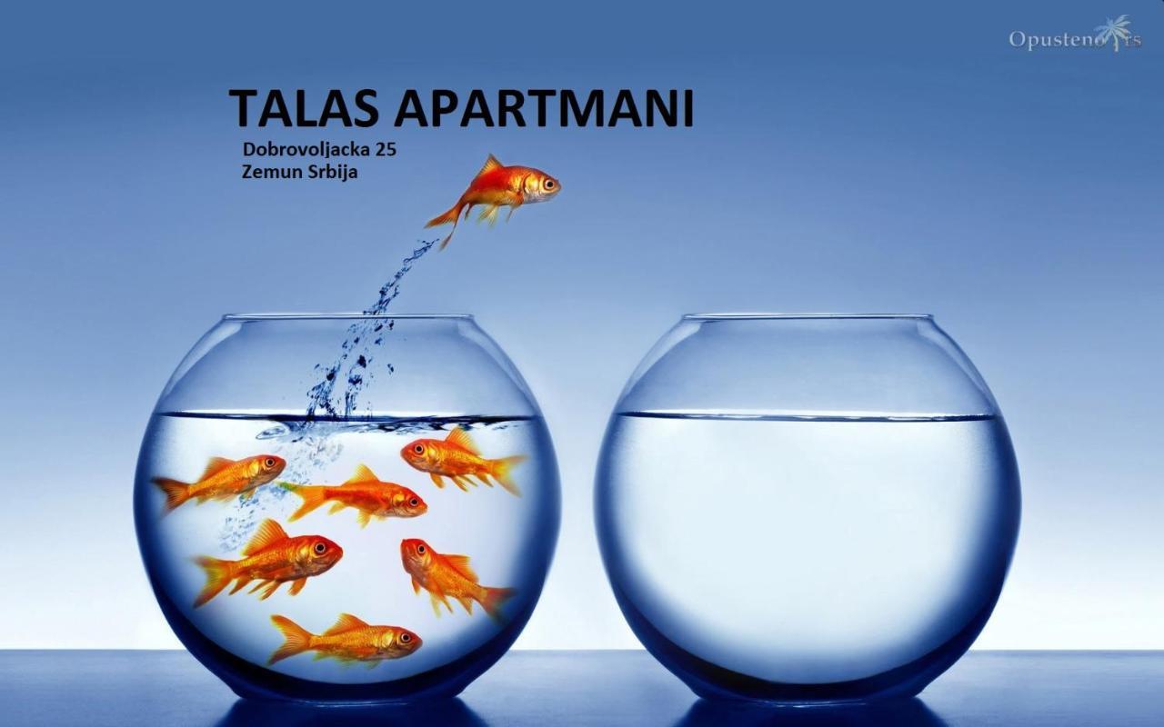 Talas Apartmani Belgrado Esterno foto